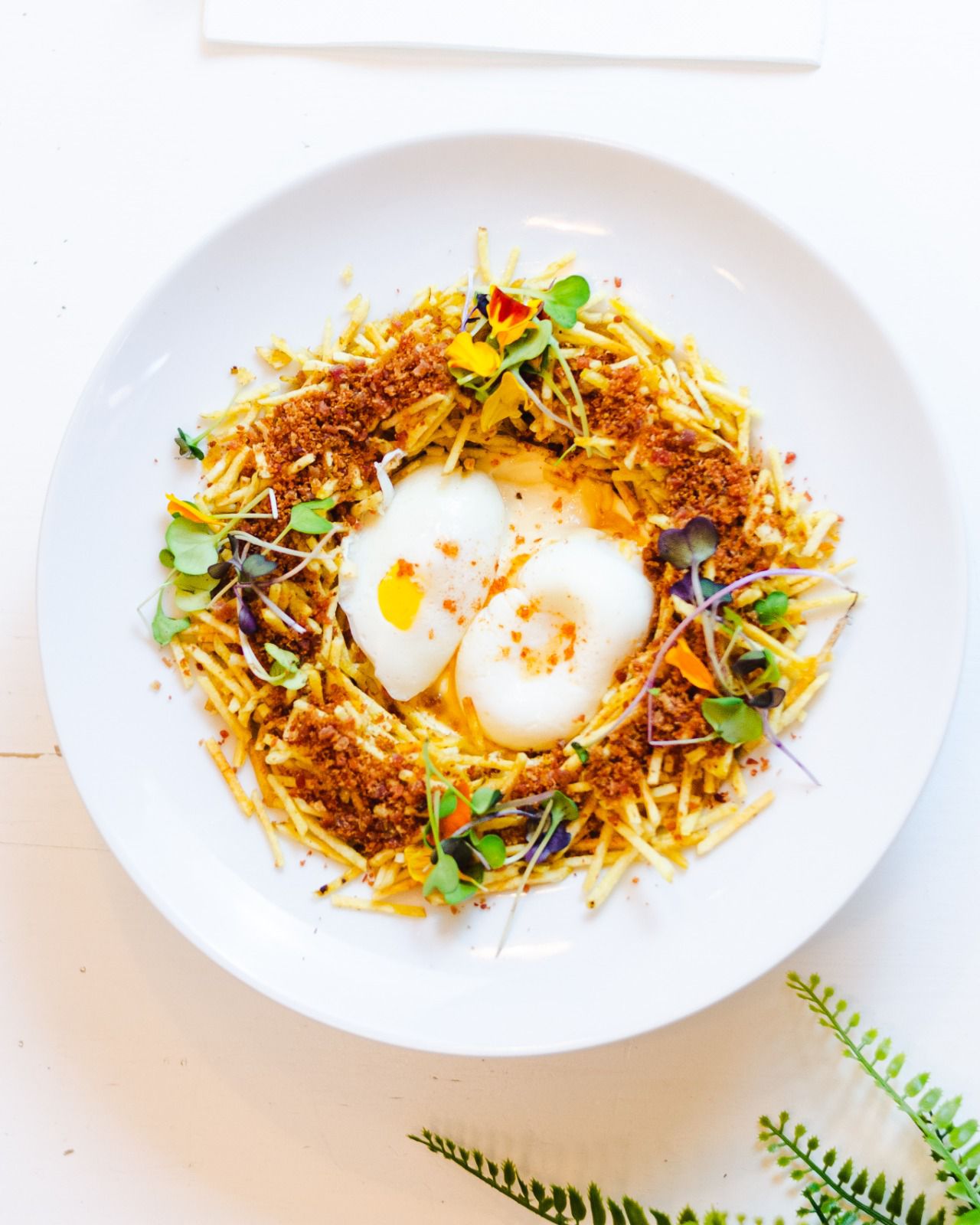 WhatsApp Image 2026-03-02 at 20.13.28